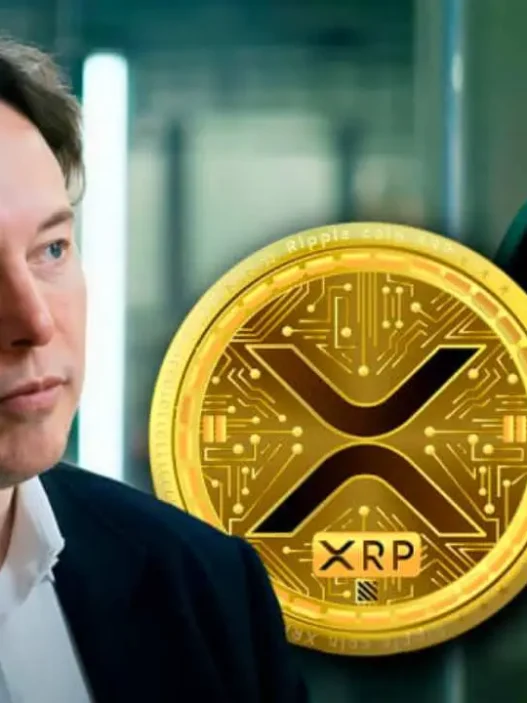 debunked:-elon-musk-$50-billion-xrp-buy-is-pure-fiction