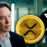 debunked:-elon-musk-$50-billion-xrp-buy-is-pure-fiction