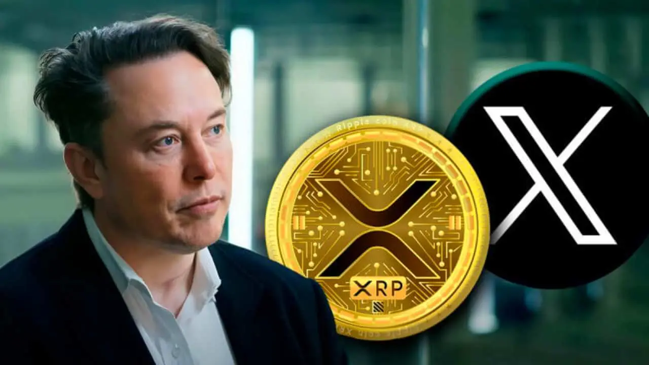 debunked:-elon-musk-$50-billion-xrp-buy-is-pure-fiction