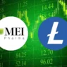 mei-pharma-adds-$100m-litecoin-to-treasury