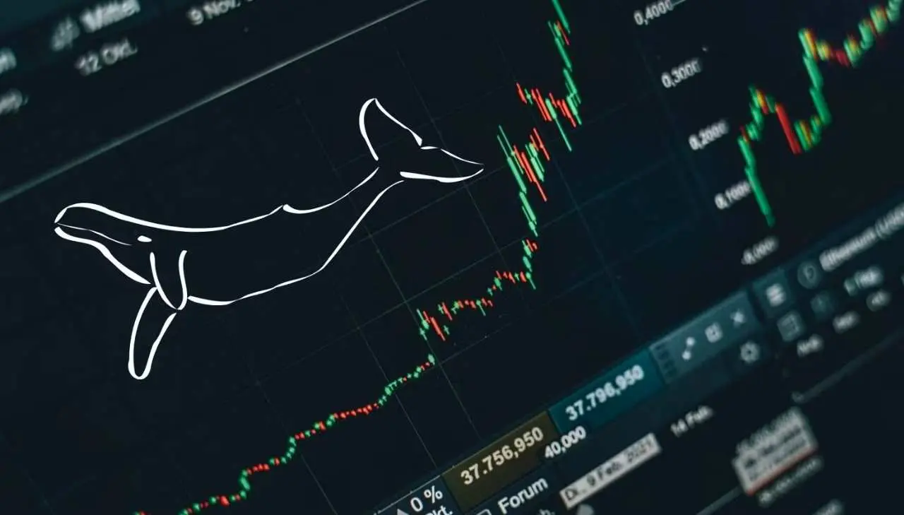 whales-accumulate-trump-crypto-but-market-awaits-breakout