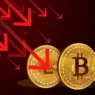Bitcoin-and-Altcoins-Fall