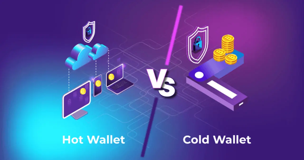 Cryptocurrency Wallets Explained: Hot vs Cold Wallets & How to Store Crypto Safely