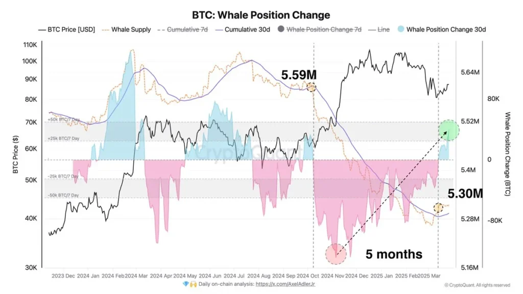 Bitcoin Whale Activity Dec 2025